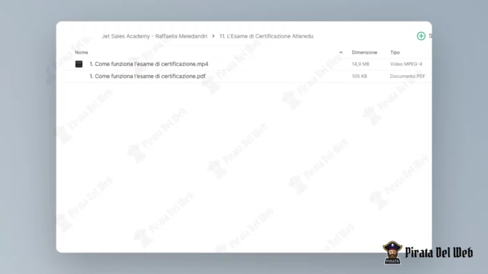 Jet Sales Academy - Raffaella Meledandri - immagine 13