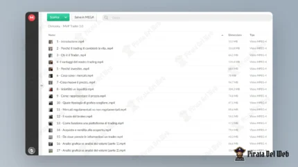 MVP 3.0 - chinooky - immagine 2